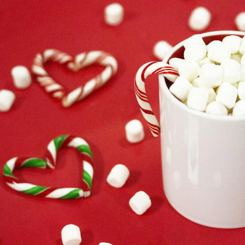 Baston Mini Canes X 300 Unds - Image 4